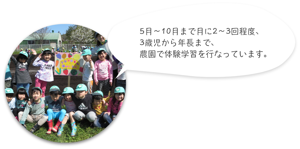 5月〜10月まで月に2〜3回程度、3歳児から年長まで、農園で体験学習を行なっています。